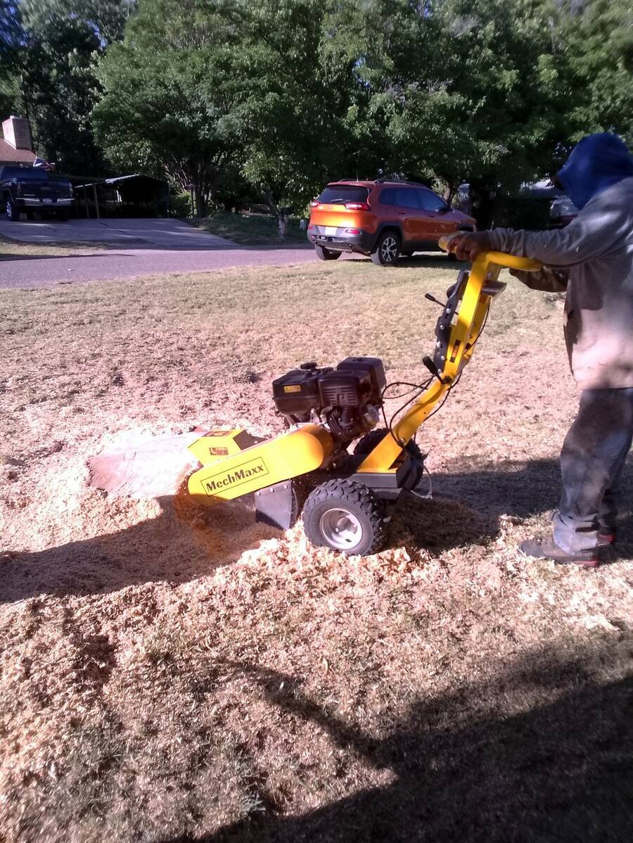 Stump grinder working on a cut stump